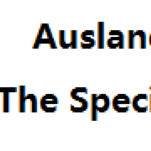 Ausland is the Real Estate Specialist 